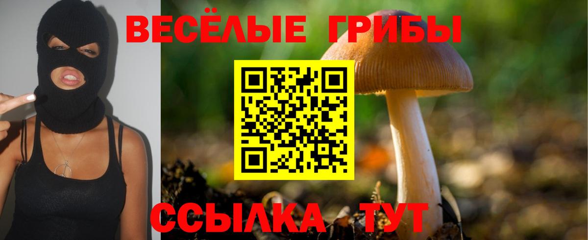 Псилоцибиновые грибы Psilocybine cubensis  Вход с VPN  Сосновый Бор 